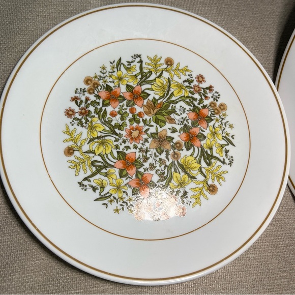 Lot Of 2 Vintage Corelle 10 1/4" INDIAN SUMMER Dinner Plates - Picture 3 of 6